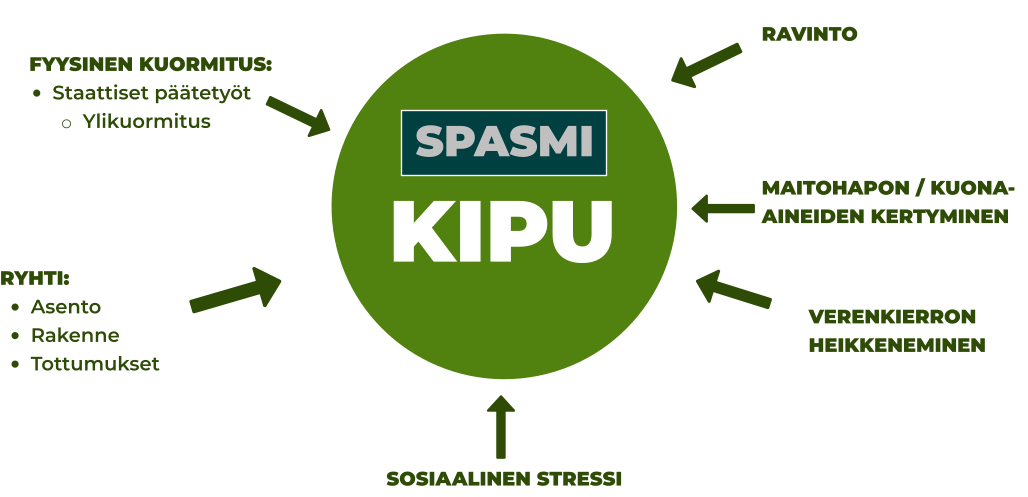 SPASMI KIPU FYYSINEN KUORMITUS: •	Staattiset päätetyöt o	Ylikuormitus RYHTI: •	Asento •	Rakenne •	Tottumukset SOSIAALINEN STRESSI VERENKIERRON HEIKKENEMINEN MAITOHAPON / KUONA-AINEIDEN KERTYMINEN RAVINTO      