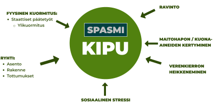 SPASMI KIPU FYYSINEN KUORMITUS: •	Staattiset päätetyöt o	Ylikuormitus RYHTI: •	Asento •	Rakenne •	Tottumukset SOSIAALINEN STRESSI VERENKIERRON HEIKKENEMINEN MAITOHAPON / KUONA-AINEIDEN KERTYMINEN RAVINTO      